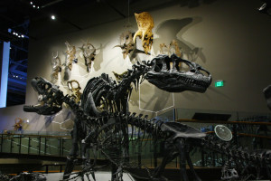 Natural History Museum of Utah