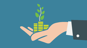 Investment Fundamentals